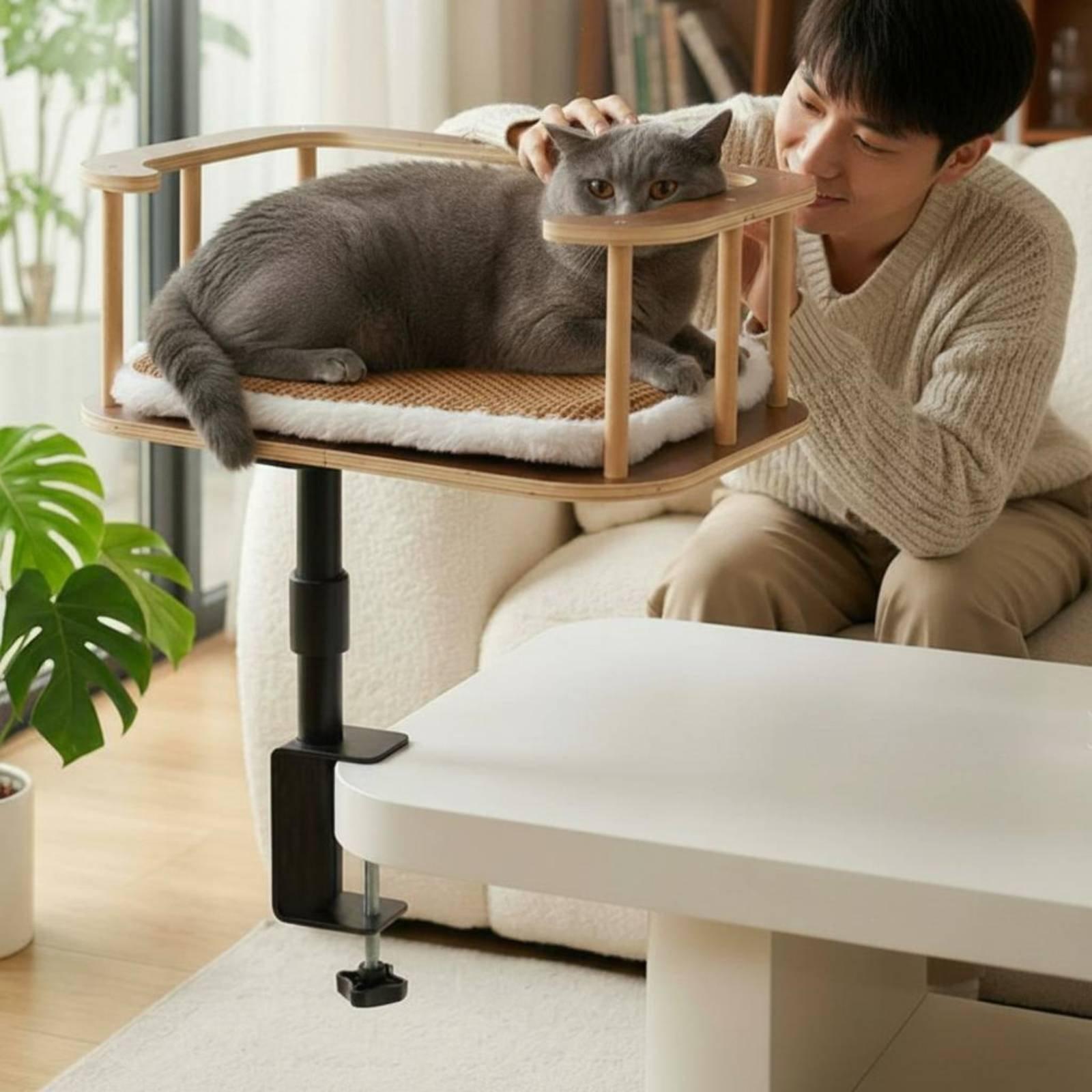 Feline Desk Bed Clamp No-Tools - Desk Setup Requirements ulasan dan harga